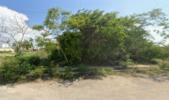 Foto de inmueble en 25-A #224-D, Col. San Diego Cutz C.P. 97347, Conkal