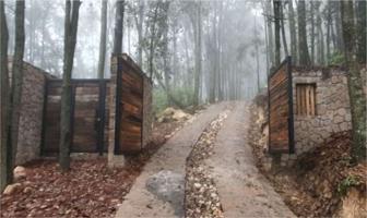 Foto de inmueble en 76875 Amealco de Bonfil, Qro., Col. Laguna de Servín C.P. 76875, Amealco de Bonfil
