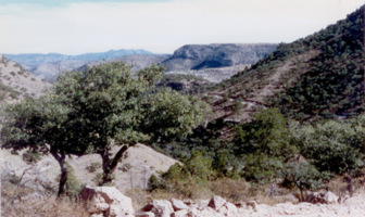 Foto de inmueble en LAS HUERTAS #s/n, Col. Nonoava C.P. 33170, Nonoava