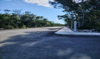 Foto de inmueble en Selva Nte., 77762 Tulum, Q.R., Col. Fraccionamiento Las Palmas C.P. 77762, Tulum