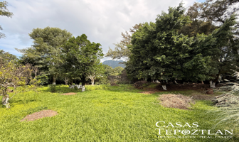 Foto de inmueble en Santo Domingo, 62520 Tepoztlán, Mor., Col. Santo Domingo C.P. 62520, Tepoztlán