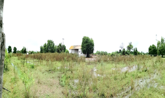 Foto de inmueble en ESTACION LEON FONSECA, Col. El Zopilote C.P. 81130, Guasave