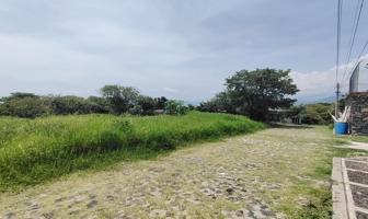 Foto de inmueble en Cuahulote casi esquina Nacahuite #s/n, Col. Ex-Hacienda Pantitlán C.P. 62545, Tlayacapan