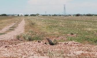 Foto de inmueble en Av Las Moras kilómetros 82 #s/n, Col. Cumbres del Deporte C.P. 33085, Delicias