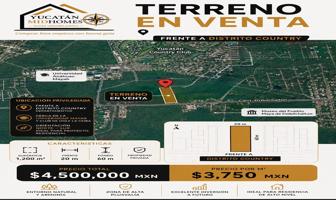 Foto de inmueble en Saramullo 81, Temozon Norte, 97300 La Ceiba, Yuc. #81, Col. Ejido de Chuburna C.P. 97300, Mérida
