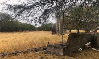 Foto de inmueble en Camino a San Antonio  #000, Col. Víboras C.P. 99570, Tepetongo