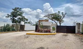 Foto de inmueble en Cancún, Quintana Roo, Col. Cancún (Internacional de Cancún) C.P. 77569, Benito Juárez