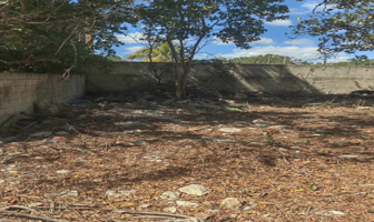 Foto de inmueble en El Porvenir, Mérida, Yuc., Col. El Porvenir C.P. 97226, Mérida