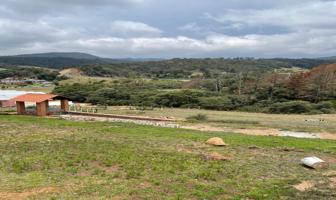 Foto de inmueble en Ruta 106, 43730 San Pedro Tlachichilco, Hgo. #s/n, Col. Tepepa (Santiago Tepepa) C.P. 43730, Acaxochitlán