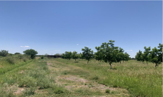 Foto de inmueble en PARCELA 79 EN EJIDO DE ROSALES #s/n, Col. Orinda C.P. 33123, Rosales