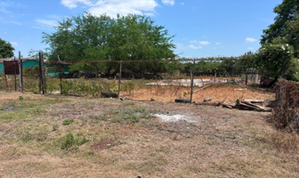 Foto de inmueble en 89945 División del Nte., Tamps., Col. División del Norte C.P. 89945, El Mante