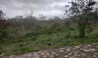 Foto de inmueble en Las palmeras  #s/n, Col. San Gabriel Ixtla C.P. 51219, Valle de Bravo