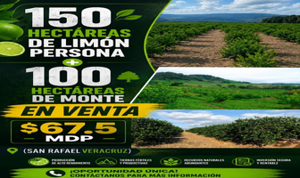 Foto de inmueble en 93620 San Rafael, Ver. #s/n, Col. San Rafael Centro C.P. 93620, San Rafael