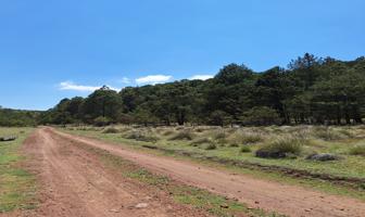 Foto de inmueble en 2259+PQ, 73312 Tlalixtlipa, Pue., Col. Tlalixtlipa C.P. 73312, Zacatlán