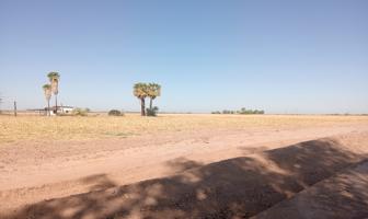 Foto de inmueble en 21905 Ejido Tabasco, B.C., Col. El Chorizo C.P. 21905, Mexicali