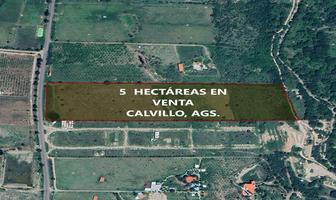 Foto de inmueble en , Col. Calvillo Centro C.P. 20800, Calvillo
