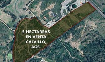 Foto de inmueble en mesa grande, Col. Ejido Calvillo (Sector Emiliano Zapata) C.P. 20852, Calvillo