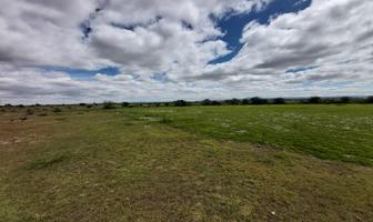 Foto de inmueble en Venta de Terreno Rustico en Nuevo Horizonte "El Milagro", El Llano, Aguascalientes. //, Col. El Retoño C.P. 20337, El Llano