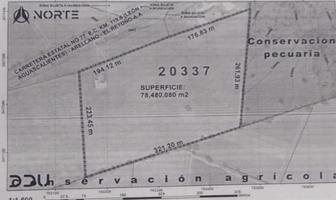 Foto de inmueble en calle 1, Col. El Retoño C.P. 20337, El Llano