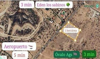 Foto de inmueble en Agostaderito, Col. El Tanque de los Jimenez C.P. 20375, Aguascalientes