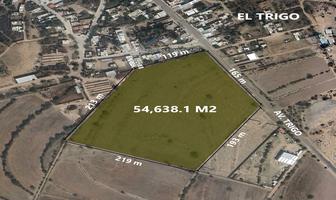 Foto de inmueble en , Col. El Trigo C.P. 20367, Aguascalientes