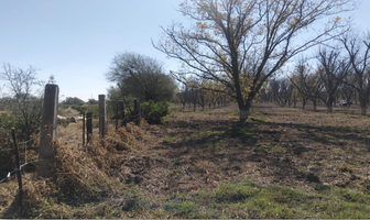 Foto de inmueble en , Col. La Trinidad C.P. 20326, Aguascalientes