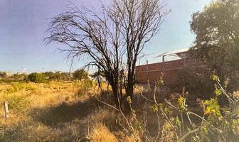 Foto de inmueble en , Col. Rincón de Baltazares C.P. 20804, Calvillo