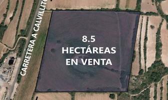 Foto de inmueble en CALVILLITO, Col. Tanque el Trigo C.P. 20367, Aguascalientes