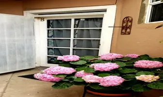 Foto de inmueble en nayarit #1348, Col. Ampliación Constitución C.P. 22707, Playas de Rosarito
