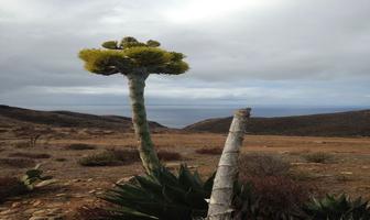 Foto de inmueble en Los Potreros, Col. Coronel Estéban Cantú C.P. 22794, Ensenada