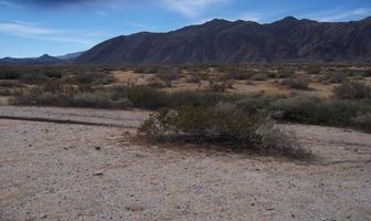 Foto de inmueble en , Col. El Dorado (Ejido Plan Nacional Agrario) C.P. 21853, San Felipe