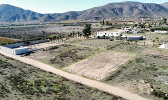 Foto de inmueble en , Col. El Porvenir (Guadalupe) C.P. 22753, Ensenada