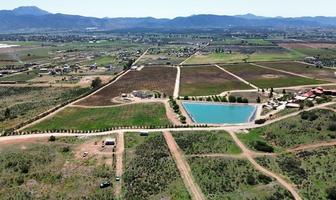 Foto de inmueble en Valle de Guadalupe, Col. El Porvenir (Guadalupe) C.P. 22753, Ensenada