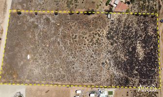 Foto de inmueble en Valle de Guadalupe, Col. El Porvenir (Guadalupe) C.P. 22753, Ensenada