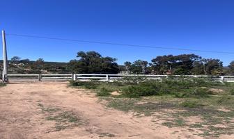 Foto de inmueble en Ejido Porvenir, Col. Francisco Zarco (Valle de Guadalupe) C.P. 22750, Ensenada