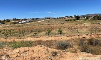 Foto de inmueble en , Col. Francisco Zarco (Valle de Guadalupe) C.P. 22750, Ensenada