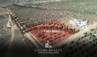 Foto de inmueble en , Col. Francisco Zarco (Valle de Guadalupe) C.P. 22750, Ensenada