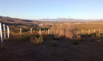 Foto de inmueble en Rancho los Encinos, Col. Francisco Zarco (Valle de Guadalupe) C.P. 22750, Ensenada