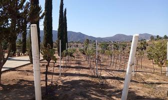 Foto de inmueble en Tierra Santa, Col. Francisco Zarco (Valle de Guadalupe) C.P. 22750, Ensenada