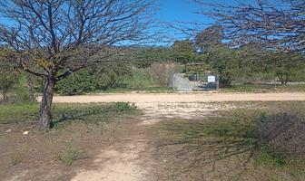 Foto de inmueble en calle Sc, Col. Francisco Zarco (Valle de Guadalupe) C.P. 22750, Ensenada