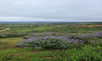 Foto de inmueble en lote, Col. Francisco Zarco (Valle de Guadalupe) C.P. 22750, Ensenada