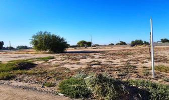 Foto de inmueble en , Col. Islas Agrarias A C.P. 21600, Mexicali