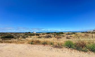 Foto de inmueble en camino vecinal, Col. La Salina C.P. 22765, Ensenada
