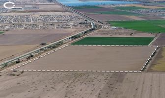 Foto de inmueble en Carretera Cerro Prieto, Col. Progreso C.P. 21326, Mexicali