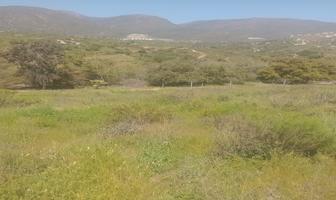 Foto de inmueble en Calle Uruguay, EX ejido Ruiz Cortinez, Col. Reacomodo Lomitas C.P. 22810, Ensenada