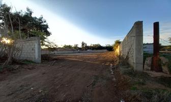 Foto de inmueble en , Col. San Antonio de Las Minas C.P. 22766, Ensenada