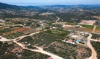 Foto de inmueble en Valle de Guadalupe, Col. San Antonio de Las Minas C.P. 22766, Ensenada