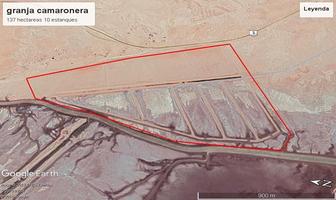 Foto de inmueble en , Col. San Luis C.P. 83540, Mexicali