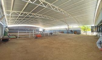 Foto de inmueble en , Col. Santa Isabel C.P. 21139, Mexicali