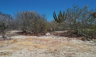 Foto de inmueble en Colina Del Sol, Col. Cardonal C.P. 23254, La Paz